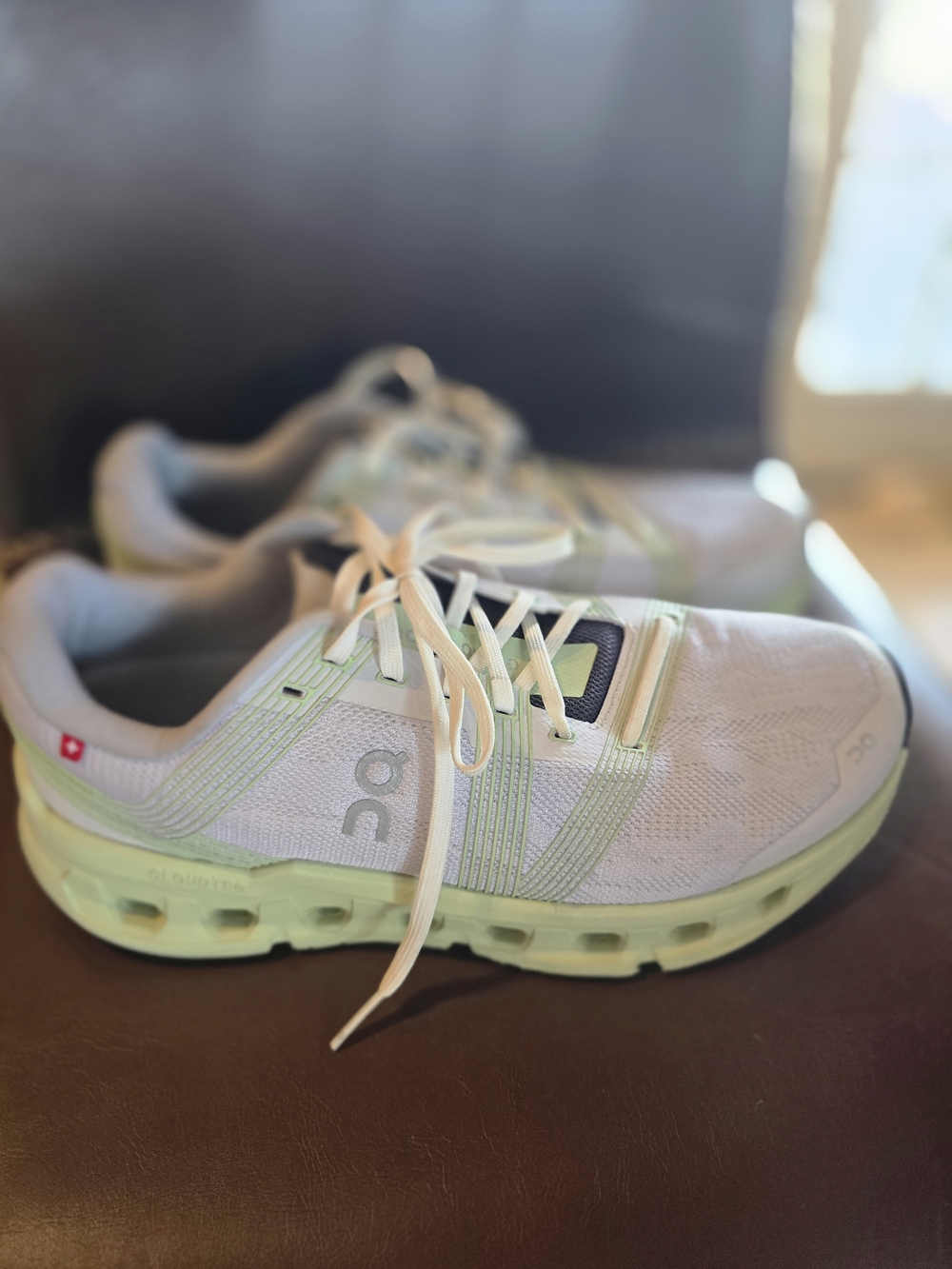 On Running Women Cloudrunning Shoes in Light Green and White